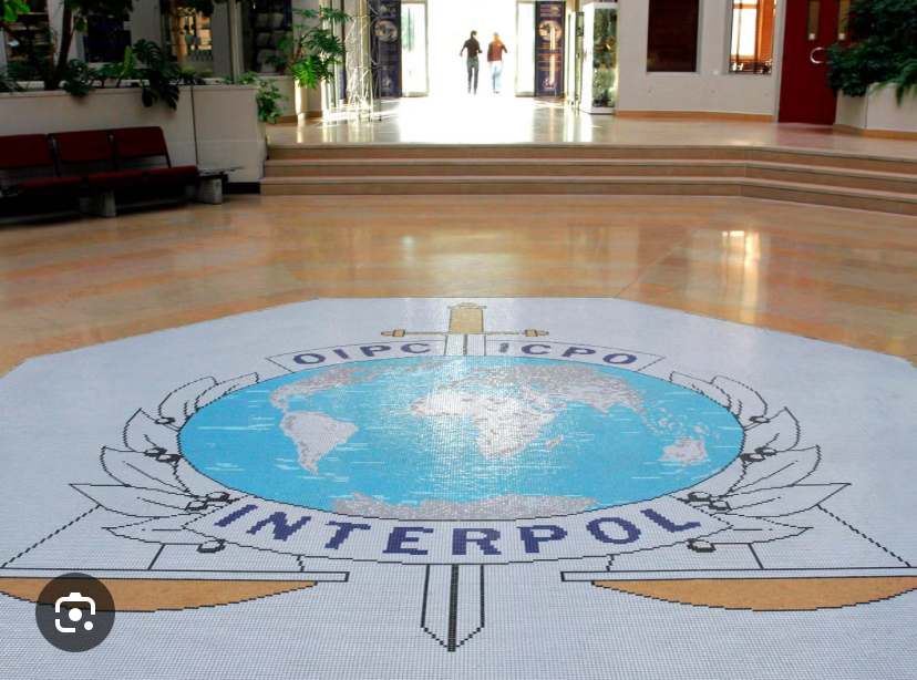 Interpol arrests 300 Black Axe members